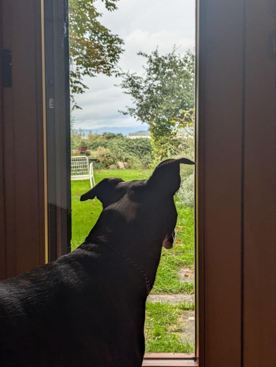 Chalet Sul Trasimeno SantʼArcangelo المظهر الخارجي الصورة