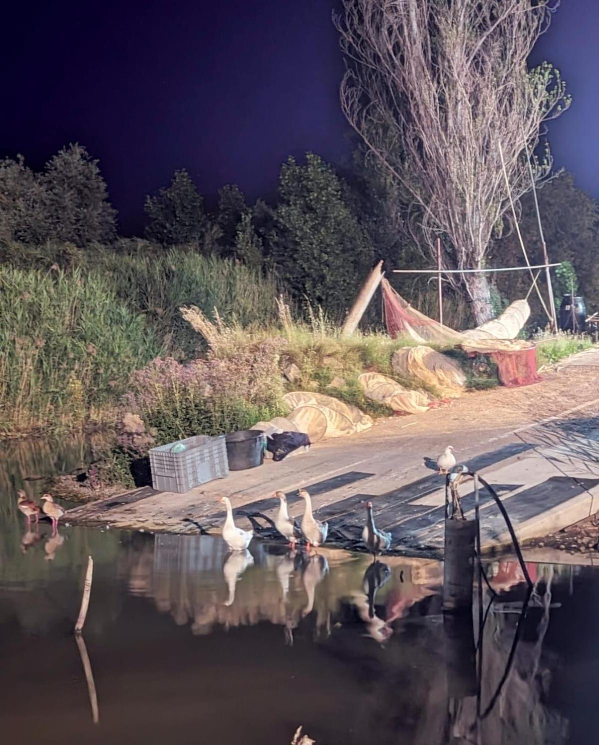 Chalet Sul Trasimeno SantʼArcangelo المظهر الخارجي الصورة